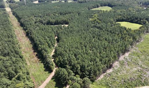 Photo #21 of SOLD property in Off Todd Road and Virgilina Road, Roxboro, NC 31.4 acres