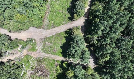 Photo #22 of SOLD property in Off Todd Road and Virgilina Road, Roxboro, NC 31.4 acres