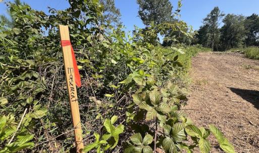 Photo #25 of SOLD property in Off Todd Road and Virgilina Road, Roxboro, NC 31.4 acres