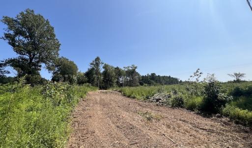 Photo #26 of SOLD property in Off Todd Road and Virgilina Road, Roxboro, NC 31.4 acres