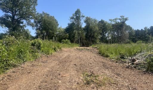 Photo #27 of SOLD property in Off Todd Road and Virgilina Road, Roxboro, NC 31.4 acres