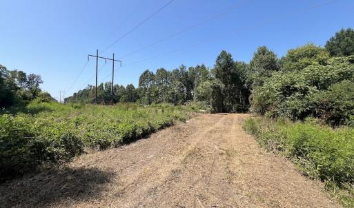 Photo #28 of SOLD property in Off Todd Road and Virgilina Road, Roxboro, NC 31.4 acres