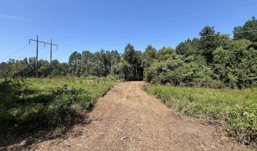 Photo #29 of SOLD property in Off Todd Road and Virgilina Road, Roxboro, NC 31.4 acres