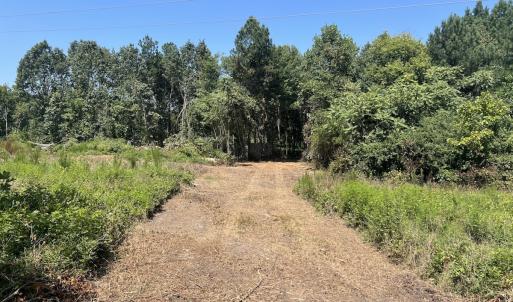 Photo #30 of SOLD property in Off Todd Road and Virgilina Road, Roxboro, NC 31.4 acres