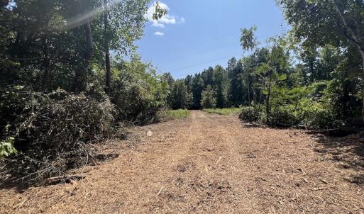 Photo #33 of SOLD property in Off Todd Road and Virgilina Road, Roxboro, NC 31.4 acres