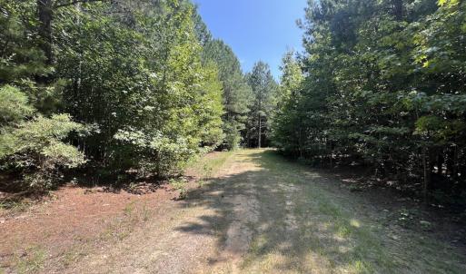 Photo #34 of SOLD property in Off Todd Road and Virgilina Road, Roxboro, NC 31.4 acres