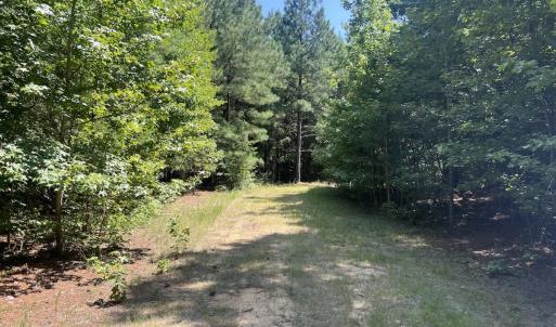 Photo #35 of SOLD property in Off Todd Road and Virgilina Road, Roxboro, NC 31.4 acres