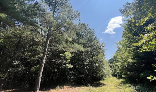Photo #36 of SOLD property in Off Todd Road and Virgilina Road, Roxboro, NC 31.4 acres