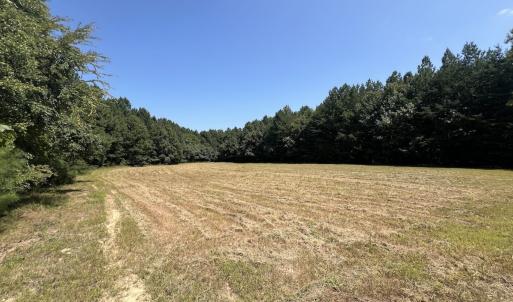Photo #37 of SOLD property in Off Todd Road and Virgilina Road, Roxboro, NC 31.4 acres