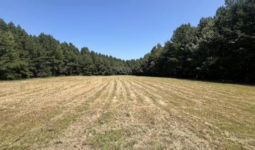 Photo #38 of SOLD property in Off Todd Road and Virgilina Road, Roxboro, NC 31.4 acres
