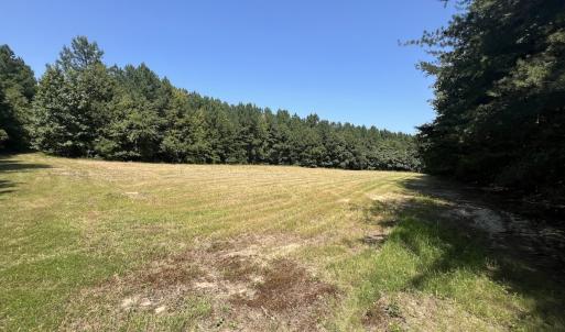 Photo #39 of SOLD property in Off Todd Road and Virgilina Road, Roxboro, NC 31.4 acres