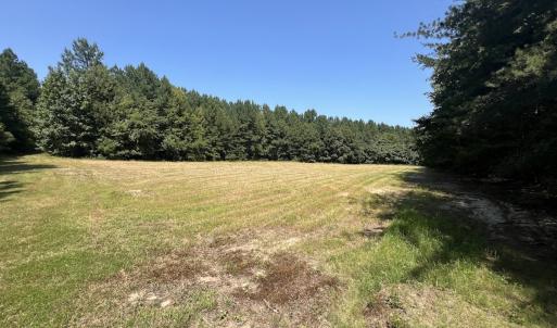 Photo #40 of SOLD property in Off Todd Road and Virgilina Road, Roxboro, NC 31.4 acres