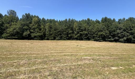 Photo #42 of SOLD property in Off Todd Road and Virgilina Road, Roxboro, NC 31.4 acres