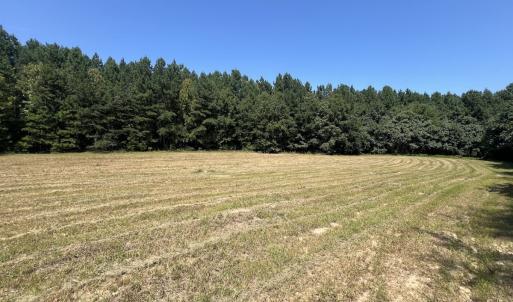 Photo #43 of SOLD property in Off Todd Road and Virgilina Road, Roxboro, NC 31.4 acres