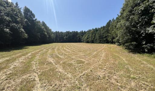 Photo #44 of SOLD property in Off Todd Road and Virgilina Road, Roxboro, NC 31.4 acres