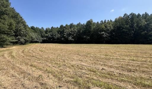 Photo #45 of SOLD property in Off Todd Road and Virgilina Road, Roxboro, NC 31.4 acres