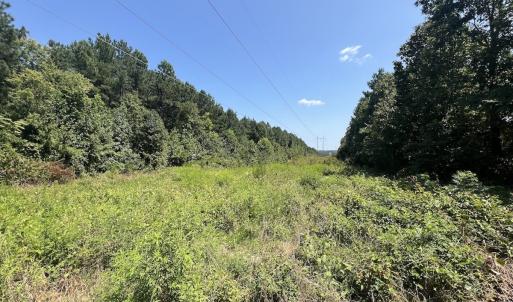 Photo #47 of SOLD property in Off Todd Road and Virgilina Road, Roxboro, NC 31.4 acres