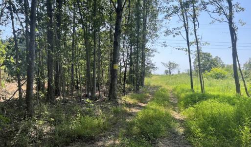 Photo #48 of SOLD property in Off Todd Road and Virgilina Road, Roxboro, NC 31.4 acres