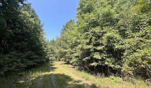Photo #49 of SOLD property in Off Todd Road and Virgilina Road, Roxboro, NC 31.4 acres