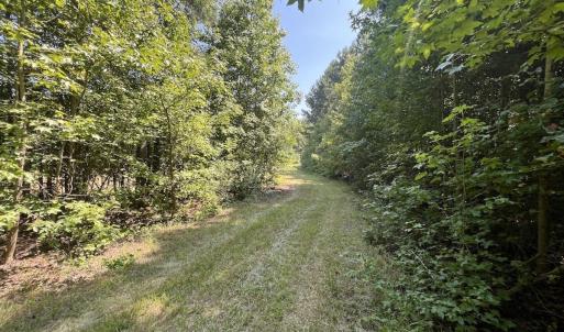 Photo #50 of SOLD property in Off Todd Road and Virgilina Road, Roxboro, NC 31.4 acres