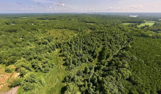 Photo #2 of Off Taylor Farm Lane , Henderson, NC 41.3 acres