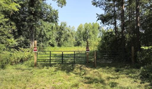 Photo #14 of Off Taylor Farm Lane , Henderson, NC 41.3 acres