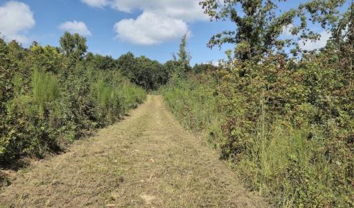 Photo #16 of Off Taylor Farm Lane , Henderson, NC 41.3 acres
