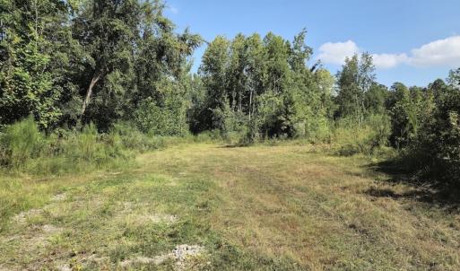 Photo #17 of Off Taylor Farm Lane , Henderson, NC 41.3 acres