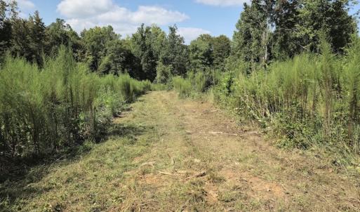 Photo #18 of Off Taylor Farm Lane , Henderson, NC 41.3 acres