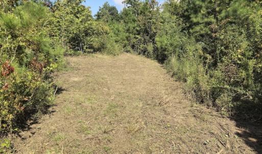 Photo #19 of Off Taylor Farm Lane , Henderson, NC 41.3 acres