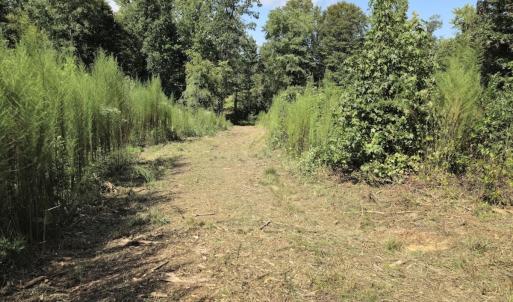 Photo #20 of Off Taylor Farm Lane , Henderson, NC 41.3 acres