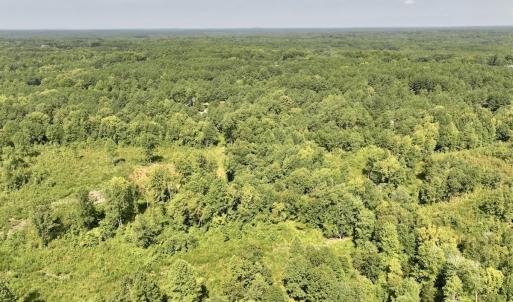 Photo #3 of Off Taylor Farm Lane , Henderson, NC 41.3 acres