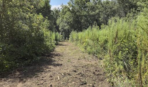 Photo #21 of Off Taylor Farm Lane , Henderson, NC 41.3 acres