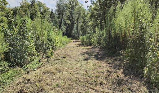 Photo #22 of Off Taylor Farm Lane , Henderson, NC 41.3 acres