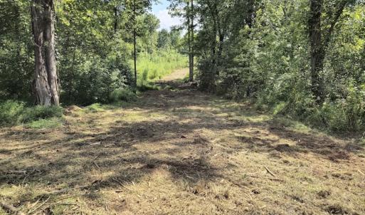 Photo #23 of Off Taylor Farm Lane , Henderson, NC 41.3 acres