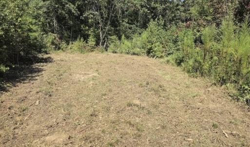 Photo #24 of Off Taylor Farm Lane , Henderson, NC 41.3 acres