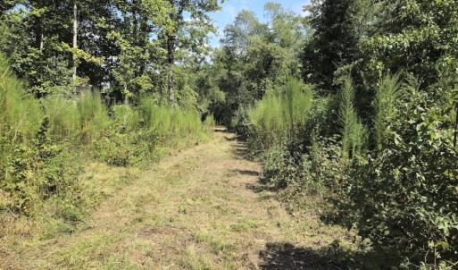 Photo #25 of Off Taylor Farm Lane , Henderson, NC 41.3 acres