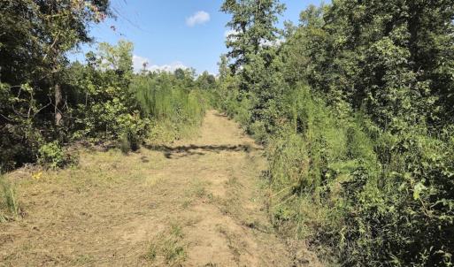 Photo #26 of Off Taylor Farm Lane , Henderson, NC 41.3 acres