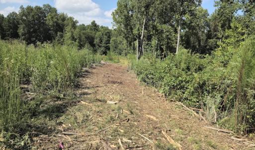 Photo #27 of Off Taylor Farm Lane , Henderson, NC 41.3 acres