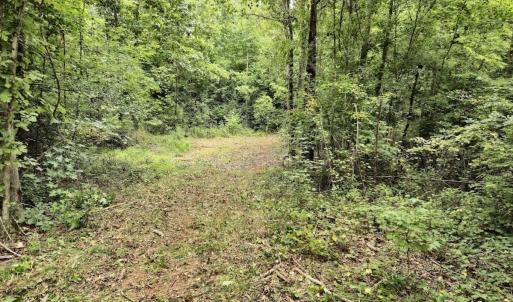 Photo #29 of Off Taylor Farm Lane , Henderson, NC 41.3 acres