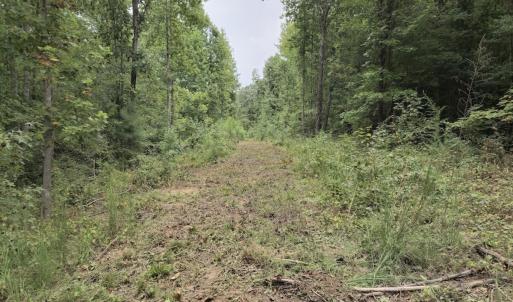 Photo #30 of Off Taylor Farm Lane , Henderson, NC 41.3 acres