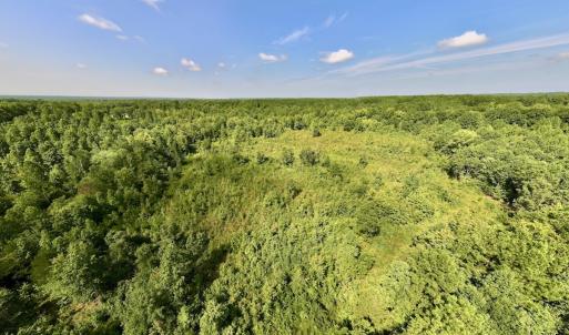 Photo #4 of Off Taylor Farm Lane , Henderson, NC 41.3 acres