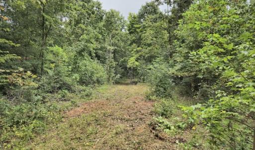 Photo #31 of Off Taylor Farm Lane , Henderson, NC 41.3 acres