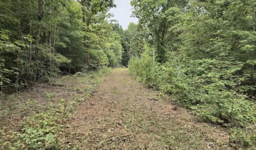 Photo #32 of Off Taylor Farm Lane , Henderson, NC 41.3 acres