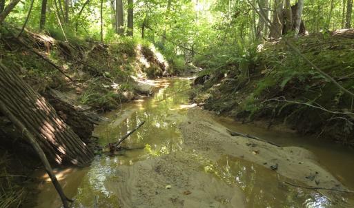 Photo #33 of Off Taylor Farm Lane , Henderson, NC 41.3 acres