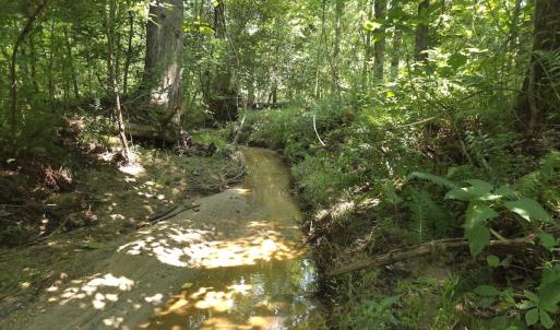 Photo #34 of Off Taylor Farm Lane , Henderson, NC 41.3 acres