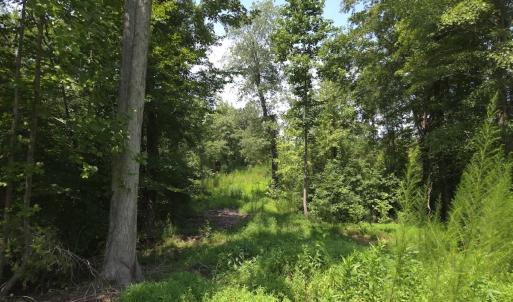 Photo #37 of Off Taylor Farm Lane , Henderson, NC 41.3 acres