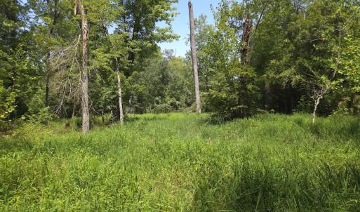 Photo #38 of Off Taylor Farm Lane , Henderson, NC 41.3 acres