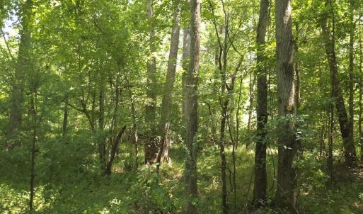 Photo #39 of Off Taylor Farm Lane , Henderson, NC 41.3 acres