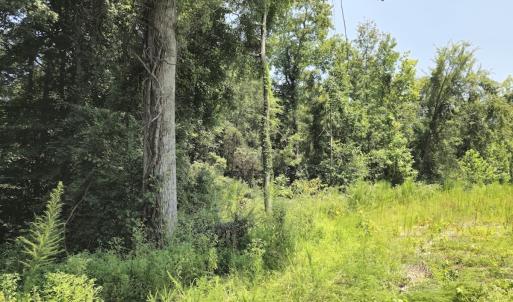 Photo #40 of Off Taylor Farm Lane , Henderson, NC 41.3 acres